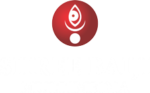 baijimultimedia.com